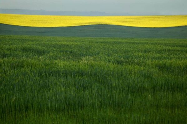 Vega de Valdetronco VA 2007