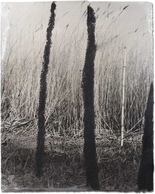 Jose-Ferrero-Miguel-Galano_ST_2023_papel_tecnica-mixta_25x20cm_21