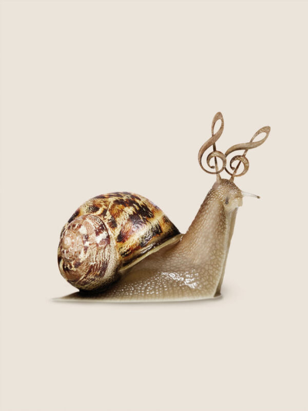 Pablo-JeJe_CARASOL_collage-digital-metacrilato_60x40cm_2022_ed5