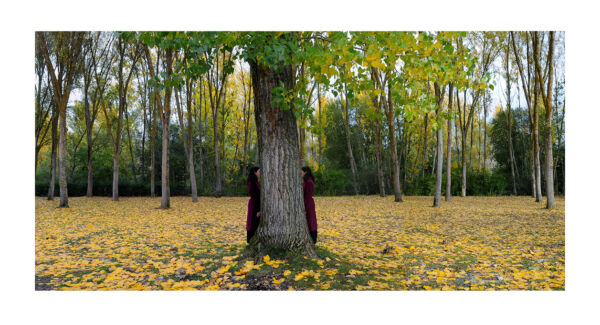 DIMIMESIS_dialogos-02_51X27,6cm