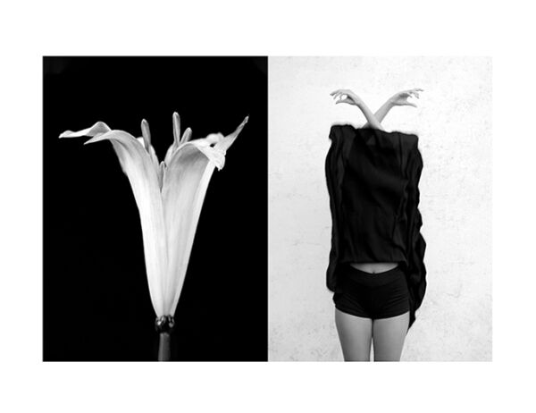 MIMESIS_diptico-03_88X68cm