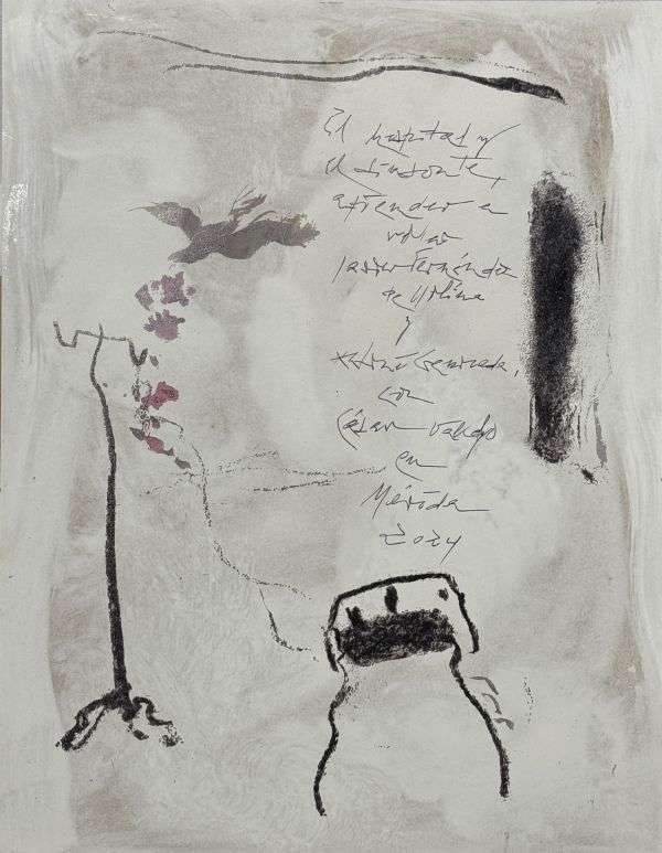 Portada El hospital...