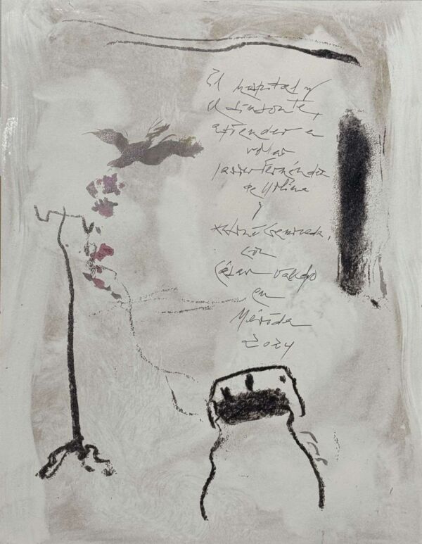 Portada El hospital...