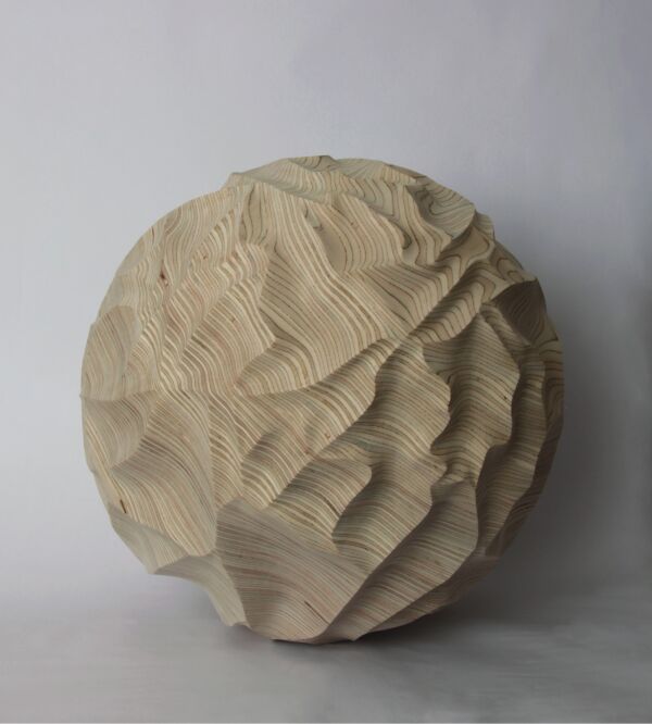 eEL camino ed la roda copia