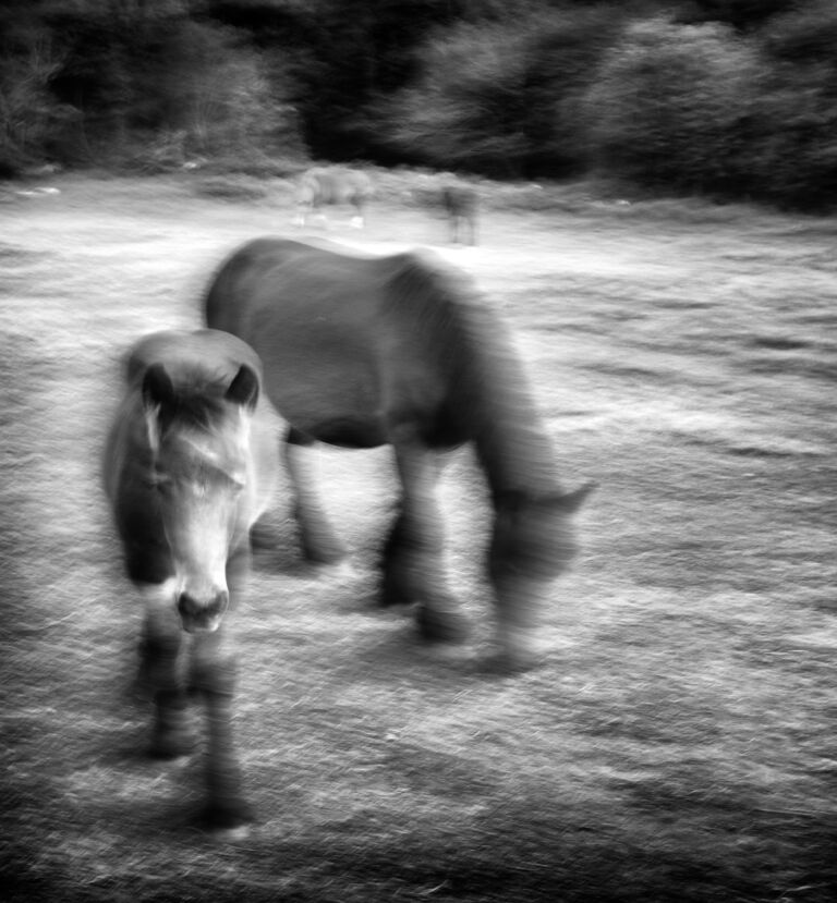 17_La belleza de lo bienaventurado