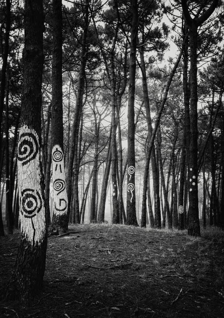 20_La belleza de la huella