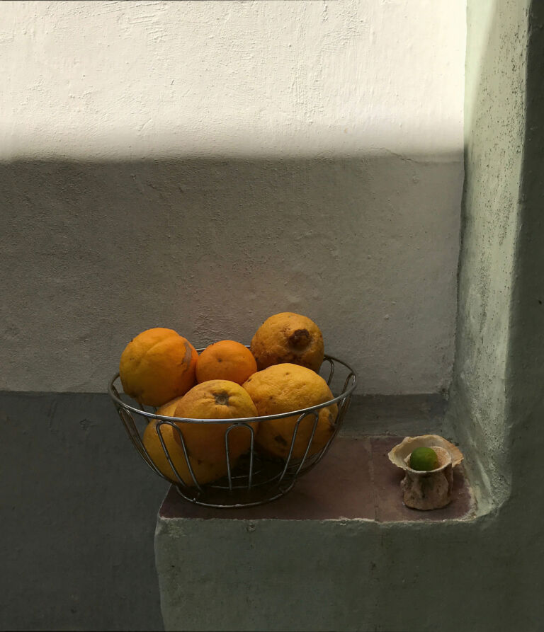 3_La belleza de lo pequeño