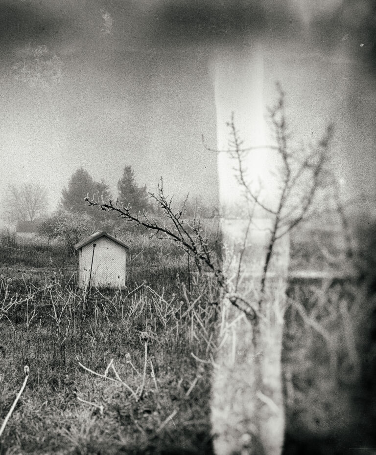 6_La belleza del vagar