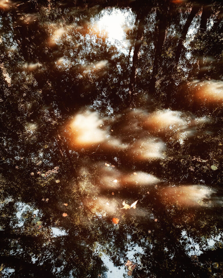 La belleza del pintar1