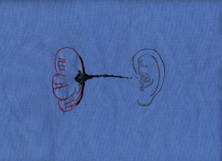 20dessusgauche_anatomiefleurieoreille-1