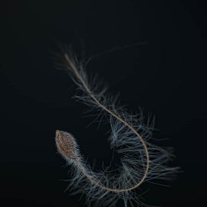 Leo Tena | Luca I | Fotografía | 50x70cm| 1.210€