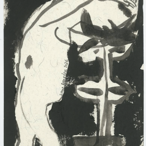 Semillas de luna menguante VII