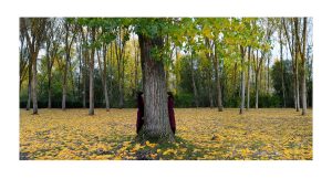 DIMIMESIS_dialogos-02_51X27,6cm