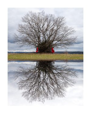 DIMIMESIS_dialogos-05_99X80cm