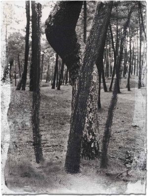 Jose-Ferrero-Miguel-Galano_ST_2023_papel_tecnica-mixta_32x24cm_23