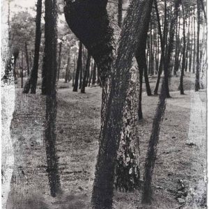 Jose-Ferrero-Miguel-Galano_ST_2023_papel_tecnica-mixta_32x24cm_23