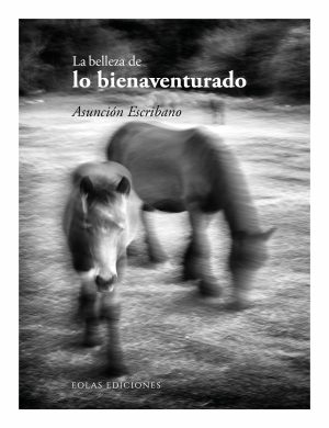 La_Belleza_De_Lo_Bienaventurado_asuncion_escribano