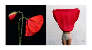 MIMESIS_diptico-02_125X68cm