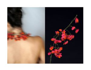 MIMESIS_diptico-04_88X68cm