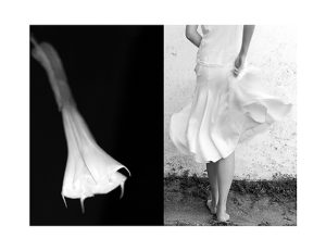 MIMESIS_diptico-05_88X68cm