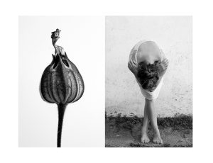 MIMESIS_diptico-06_88X68cm