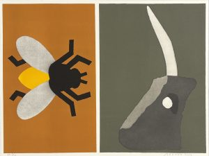 Mosca.y.unicornio.de.Laciana