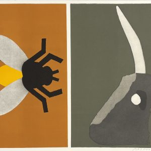 Mosca.y.unicornio.de.Laciana