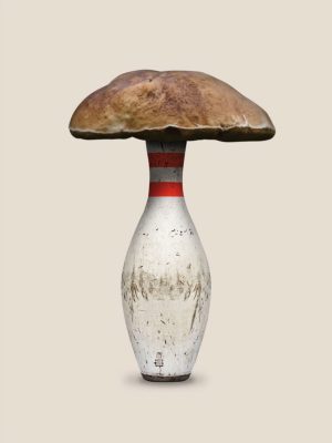 Pablo-JeJe_BOLETUS_collage-digital-metacrilato_60x40cm_2021_ed5