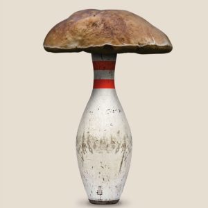 Pablo-JeJe_BOLETUS_collage-digital-metacrilato_60x40cm_2021_ed5