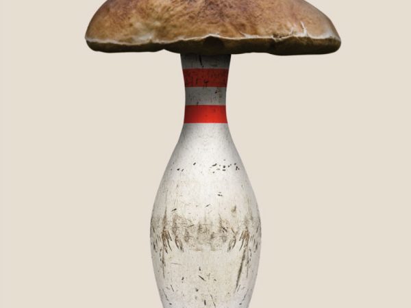 Pablo-JeJe_BOLETUS_collage-digital-metacrilato_60x40cm_2021_ed5