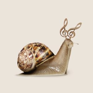 Pablo-JeJe_CARASOL_collage-digital-metacrilato_60x40cm_2022_ed5