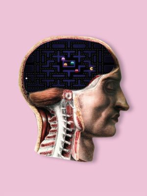 Pablo-JeJe_COMECOCOS_collage-digital-metacrilato_60x40cm_2019_ed5