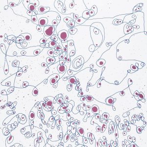Siguiendo-el-hilo-no-1-2003.-Serigrafia-100-x-70-cm.-2-scaled