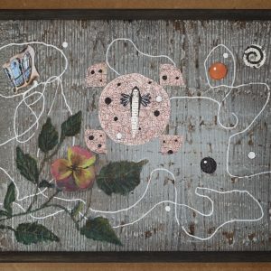 Teresa Gancedo - Gaudí 2, 31,5x46,5cm