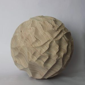 eEL camino ed la roda copia