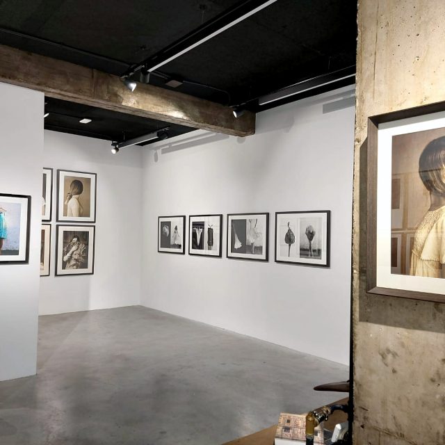 exposicion_Julia-Liebana_Mimesis_armaga-03