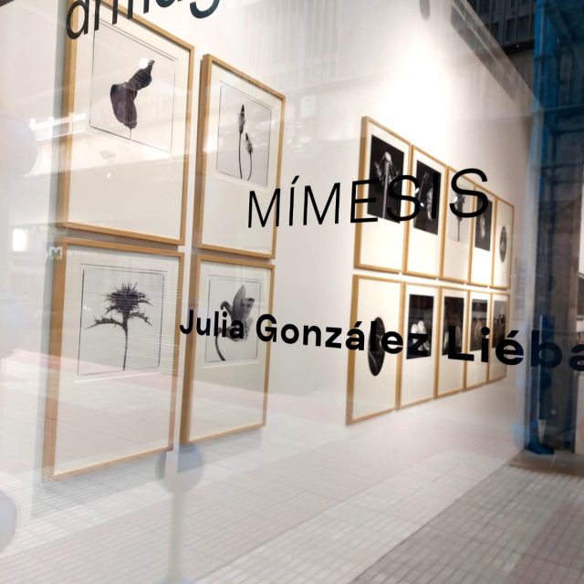 exposicion_Julia-Liebana_Mimesis_armaga-08