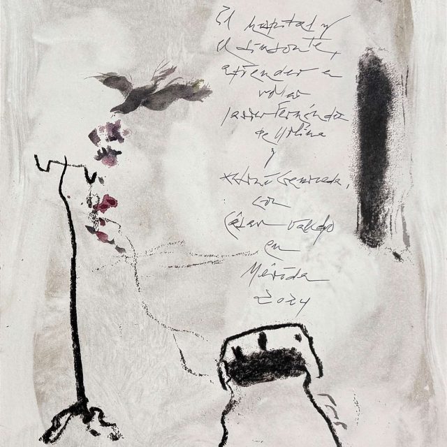 img_Gamoneda-Molina_El-hospital-y-el-sinsonte