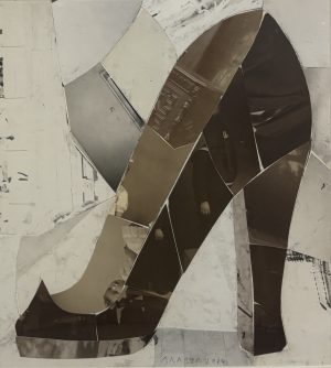zapato.I.2014.26´5x23´5cm